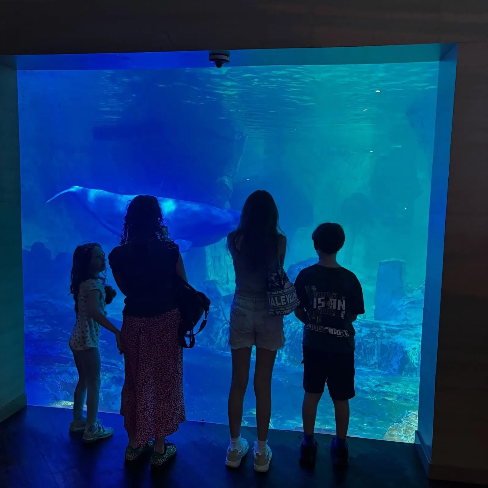 The kids and I admiring the Beluga Whales